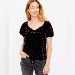 🎈3/$15 Pretty Loft velvet top NWOT